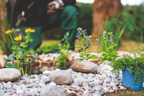 Ein Gartenteich umrandet von Steinen und verschiedenen Pflanzen